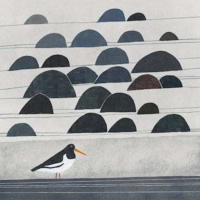 Stony Beach Card by Tjitske Kamphuis