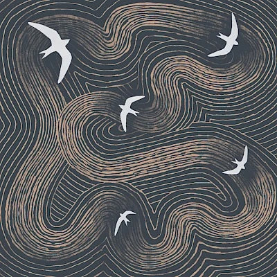Swifts Art Greeting Card by Tjitske Kamphuis