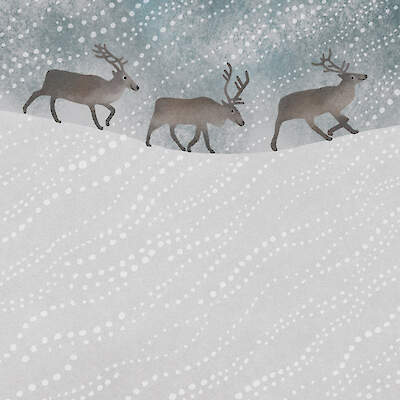Reindeers in the Snow Greeting Card by Tjitske Kamphuis