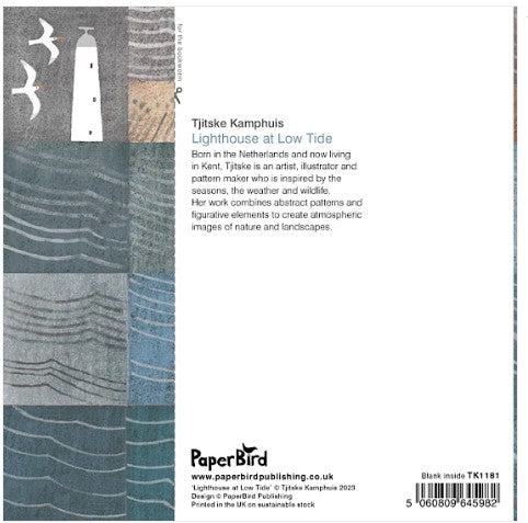 The back cover of a book titled 'Lighthouse at Low Tide' by Tjitske Kamphuis, featuring an abstract patterned design in muted blue, gray, beige, and white tones. The cover includes a vertical title band, a short author biography, the Paperbird publisher logo, website details, and a barcode.