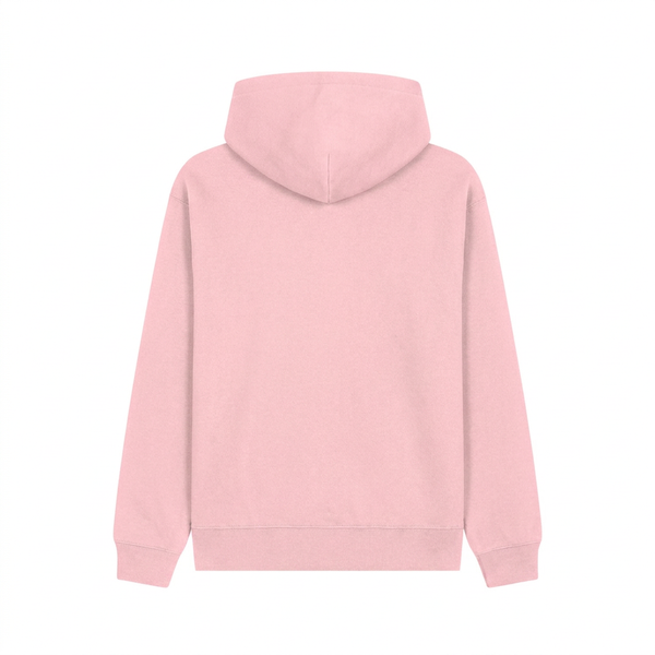A light pink pullover hoodie shown from the back, displayed on a clean white background.